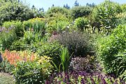 73 - Butchard Gardens  - IMG_1671